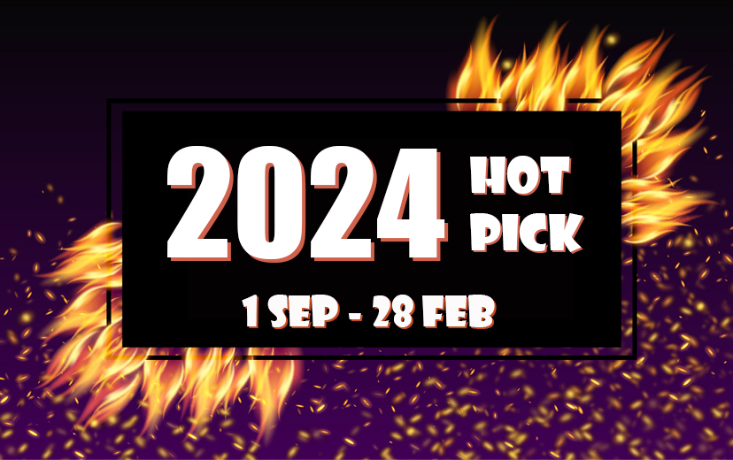 2024 HOT PICKS Promotion